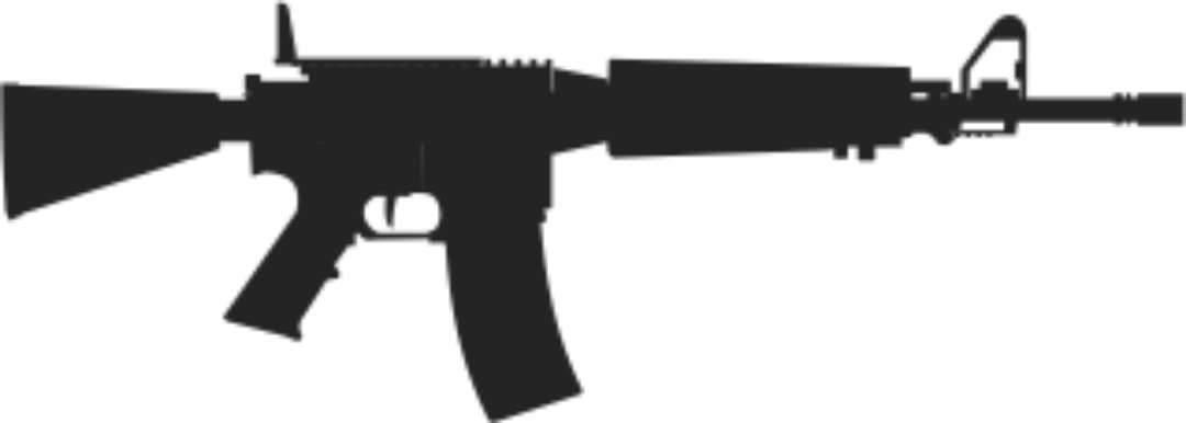 AR 15