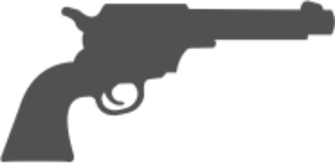 REVOLVER